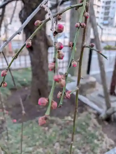成願寺(東京都)