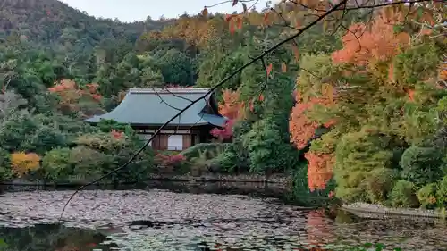 龍安寺の景色