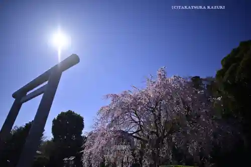 櫻木神社(千葉県)