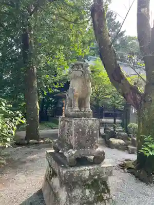 報徳二宮神社の狛犬