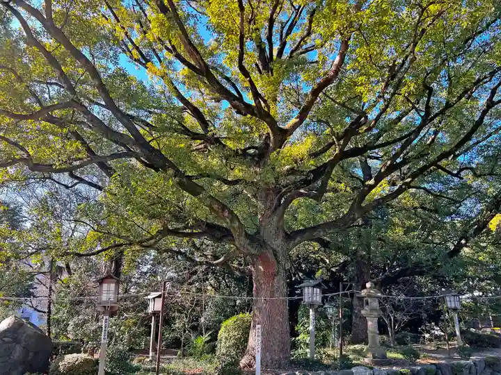 成海神社の自然