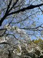 三嶋大社の{uncategorized: "未分類", other: "その他", undefined: "問題あり", building: "その他建物", grave: "お墓", sacred_gate: "鳥居", guardian: "狛犬", statue: "像", buddha: "仏像", history: "歴史", nature: "自然", garden: "庭園", animal: "動物", pagoda: "塔", temizu: "手水舎", mountain_gate: "山門・神門", sanctuary: "本殿・本堂", subordinate: "末社・摂社", art: "芸術", scenery: "景色", jizo: "地蔵", ema: "絵馬", goshuin: "御朱印", omikuji: "おみくじ", items: "授与品その他", amulet: "お守り", goshuincho: "御朱印帳", eats: "食事", festival: "お祭り", votive_dance: "神楽", shichigosan: "七五三参", wedding: "結婚式", experience: "体験その他", initially: "初詣", around: "周辺", anti_infection: "感染症対策"}