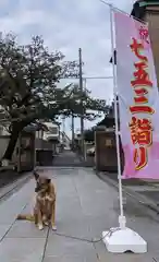 本久寺の動物