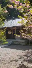 安房神社(千葉県)