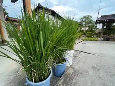 大鏑神社(福島県)