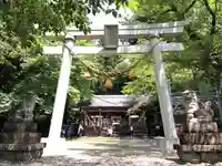 天鷹神社(岐阜県)