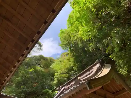 大國主神社の本殿・本堂