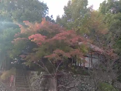 安岡寺(大阪府)