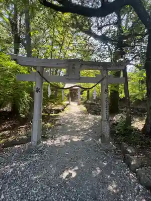 土佐神社(高知県)