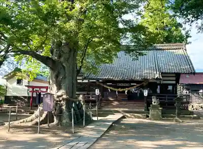 白鳥神社(長野県)