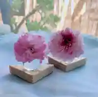 平野神社のその他建物