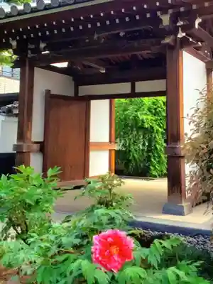 圓照寺(東京都)