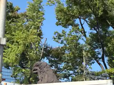 富岡八幡宮(東京都)