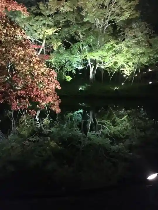 高台寺(高台寿聖禅寺・高臺寺)の周辺