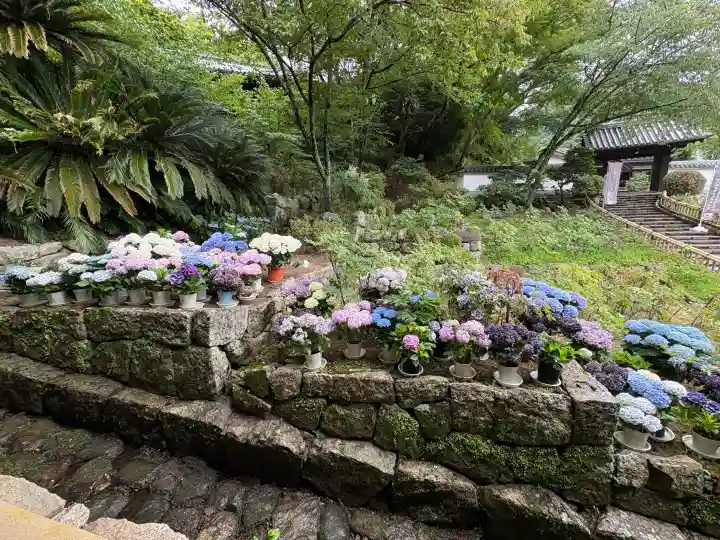 長谷寺(奈良県)