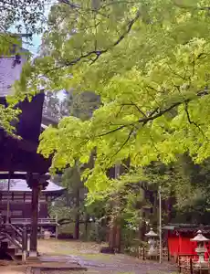 蚊里田八幡宮(長野県)(2025年05月02日(金) 19時17分42秒投稿)