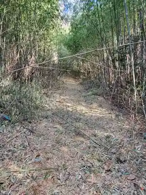 厳嶋神社(五十部町)(栃木県)