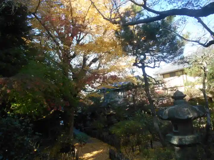 安國論寺(安国論寺)(神奈川県)