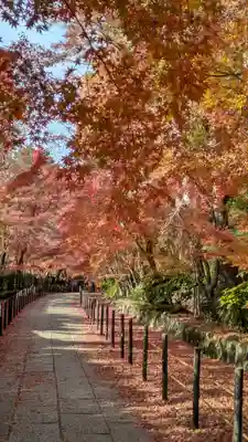 光明寺（粟生光明寺）(京都府)