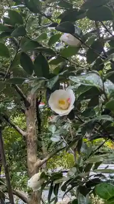 城南宮(京都府)