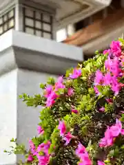 冨士山稲荷神社(長野県)