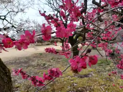 常磐神社(茨城県)