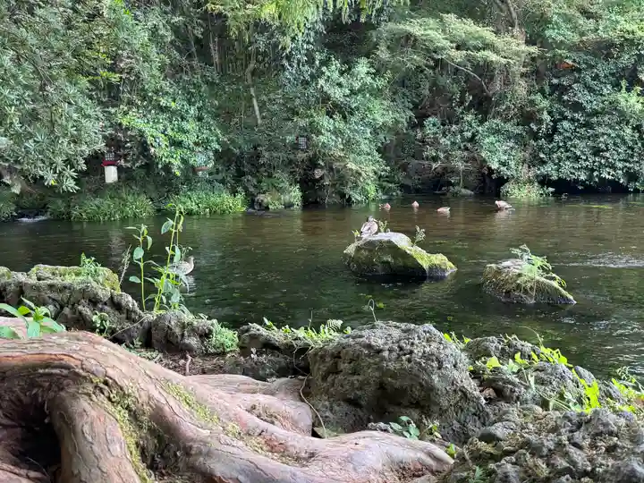 富士山本宮浅間大社(静岡県)