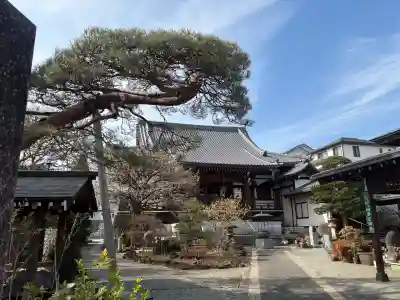 天然寺の{uncategorized: "未分類", other: "その他", undefined: "問題あり", building: "その他建物", grave: "お墓", sacred_gate: "鳥居", guardian: "狛犬", statue: "像", buddha: "仏像", history: "歴史", nature: "自然", garden: "庭園", animal: "動物", pagoda: "塔", temizu: "手水舎", mountain_gate: "山門・神門", sanctuary: "本殿・本堂", subordinate: "末社・摂社", art: "芸術", scenery: "景色", jizo: "地蔵", ema: "絵馬", goshuin: "御朱印", omikuji: "おみくじ", items: "授与品その他", amulet: "お守り", goshuincho: "御朱印帳", eats: "食事", festival: "お祭り", votive_dance: "神楽", shichigosan: "七五三参", wedding: "結婚式", experience: "体験その他", initially: "初詣", around: "周辺", anti_infection: "感染症対策"}