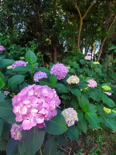 沙沙貴神社(滋賀県)