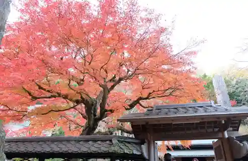 東慶寺の自然