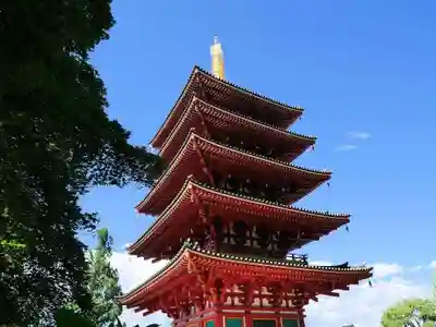 高幡不動尊 金剛寺の塔