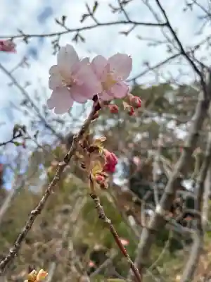 天伯山神社の{uncategorized: "未分類", other: "その他", undefined: "問題あり", building: "その他建物", grave: "お墓", sacred_gate: "鳥居", guardian: "狛犬", statue: "像", buddha: "仏像", history: "歴史", nature: "自然", garden: "庭園", animal: "動物", pagoda: "塔", temizu: "手水舎", mountain_gate: "山門・神門", sanctuary: "本殿・本堂", subordinate: "末社・摂社", art: "芸術", scenery: "景色", jizo: "地蔵", ema: "絵馬", goshuin: "御朱印", omikuji: "おみくじ", items: "授与品その他", amulet: "お守り", goshuincho: "御朱印帳", eats: "食事", festival: "お祭り", votive_dance: "神楽", shichigosan: "七五三参", wedding: "結婚式", experience: "体験その他", initially: "初詣", around: "周辺", anti_infection: "感染症対策"}