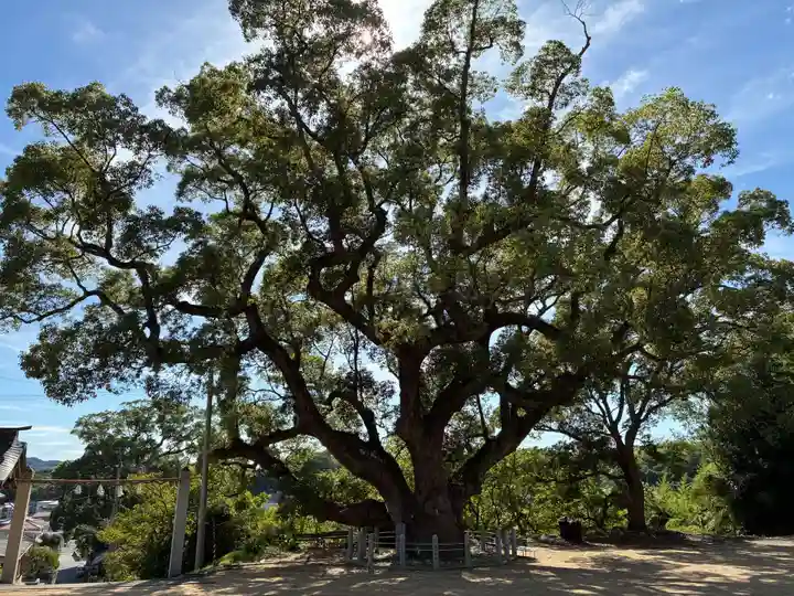 志筑神社(兵庫県)