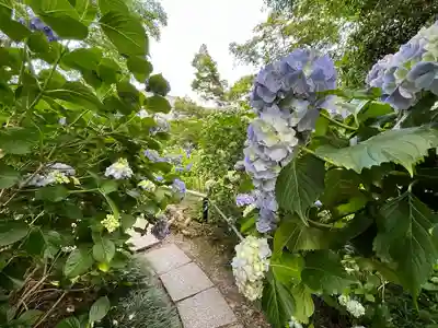 念佛院(奈良県)