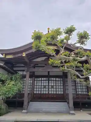 南松寺(東京都)