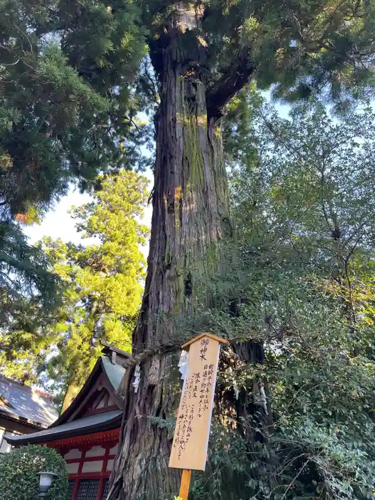 香取神宮(千葉県)