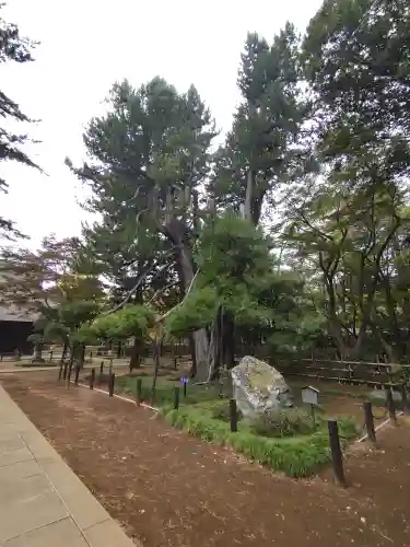 平林寺(埼玉県)