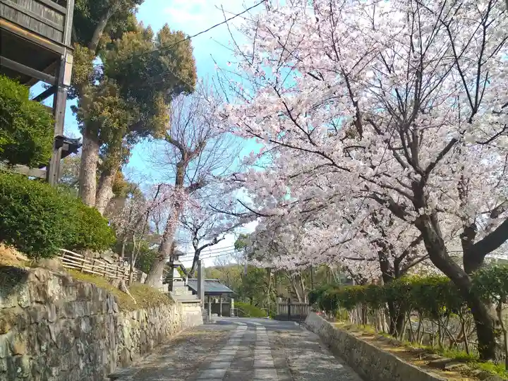 阿智神社の景色
