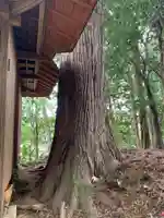 神明社(千葉県)