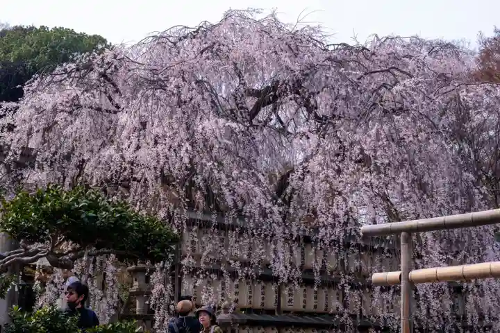 大石神社(京都府)