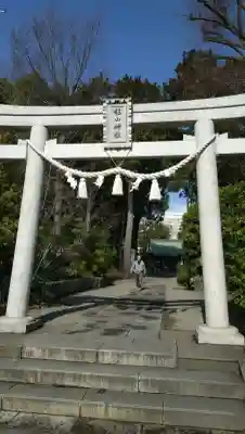 星川杉山神社の{uncategorized: "未分類", other: "その他", undefined: "問題あり", building: "その他建物", grave: "お墓", sacred_gate: "鳥居", guardian: "狛犬", statue: "像", buddha: "仏像", history: "歴史", nature: "自然", garden: "庭園", animal: "動物", pagoda: "塔", temizu: "手水舎", mountain_gate: "山門・神門", sanctuary: "本殿・本堂", subordinate: "末社・摂社", art: "芸術", scenery: "景色", jizo: "地蔵", ema: "絵馬", goshuin: "御朱印", omikuji: "おみくじ", items: "授与品その他", amulet: "お守り", goshuincho: "御朱印帳", eats: "食事", festival: "お祭り", votive_dance: "神楽", shichigosan: "七五三参", wedding: "結婚式", experience: "体験その他", initially: "初詣", around: "周辺", anti_infection: "感染症対策"}