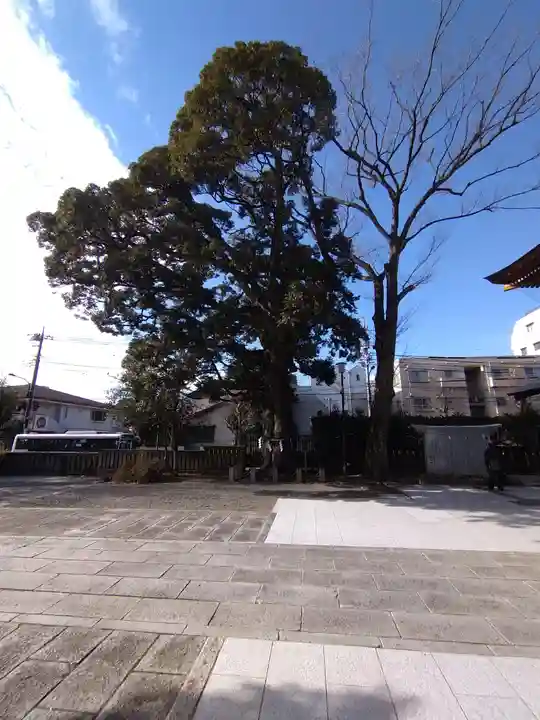 八幡大神社の自然