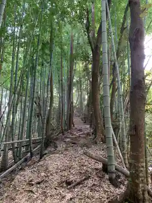 金毘羅神社の周辺