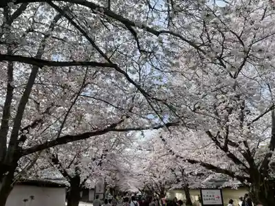 醍醐寺(京都府)