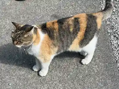前玉神社(埼玉県)