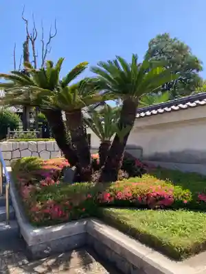 円乗院(東京都)