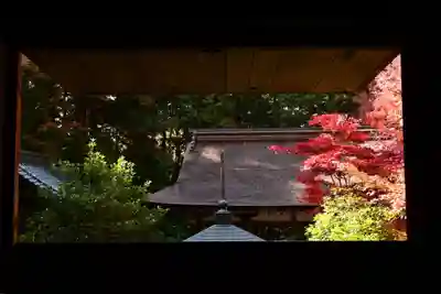 金剛輪寺(滋賀県)