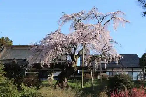 建福寺の庭園