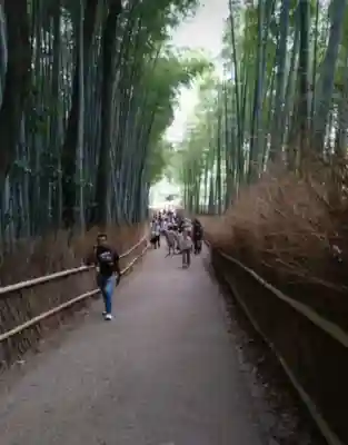 天龍寺(京都府)