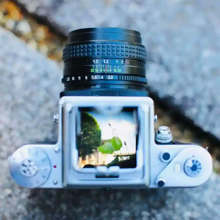 浄土寺(兵庫県)